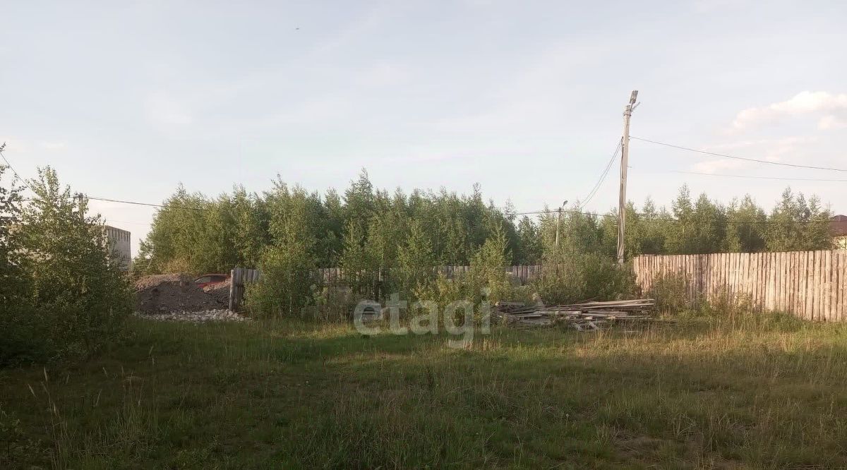 земля г Выкса с Борковка ул Радужная фото 1