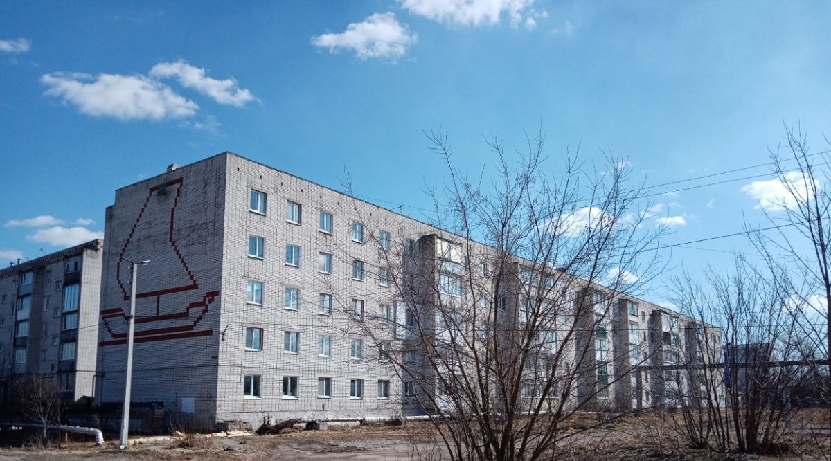 квартира р-н Богородский г Богородск мкр 3-й 12 фото 1