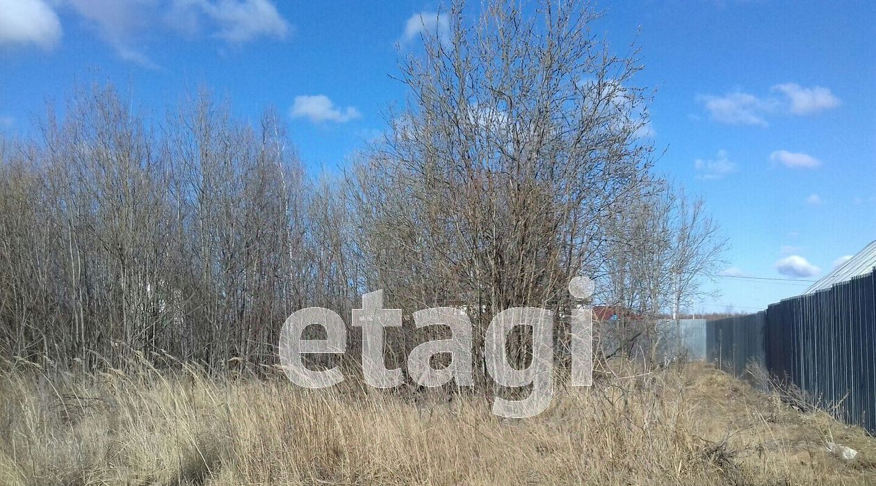 земля г Выкса ул Васильевой фото 4