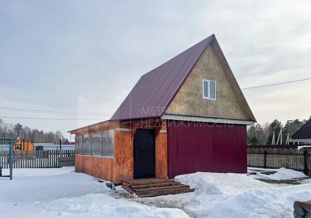 дп. Ежевика фото