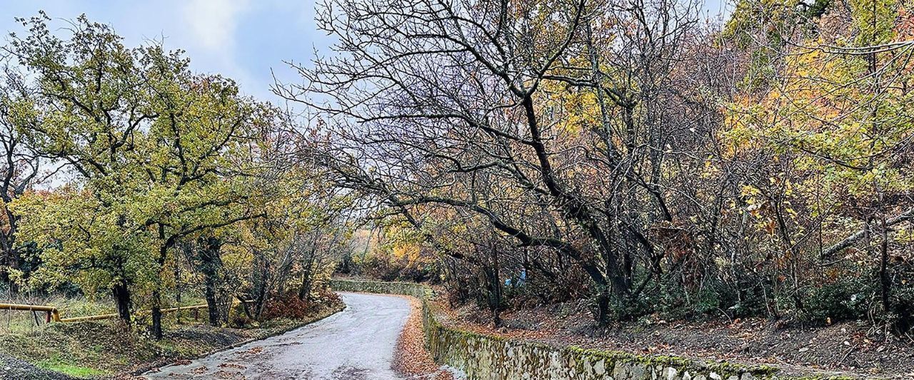 земля г Алушта с Малый Маяк фото 1