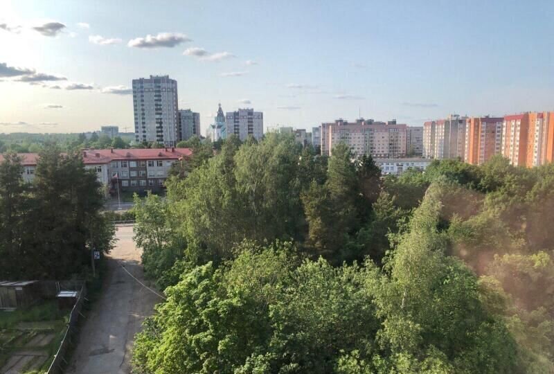 квартира р-н Выборгский г Выборг ул Большая Чернозёмная 9к/1 ЖК «в Выборге» Выборгское городское поселение фото 3