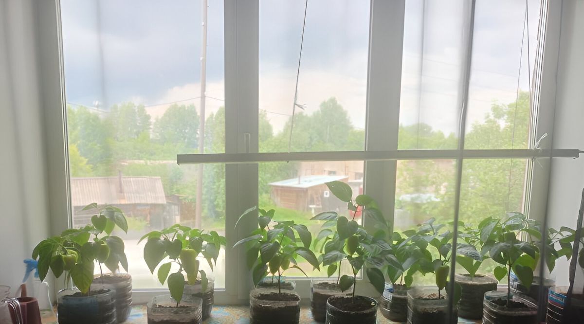 квартира г Красноуфимск ул Фрунзе 4а фото 2
