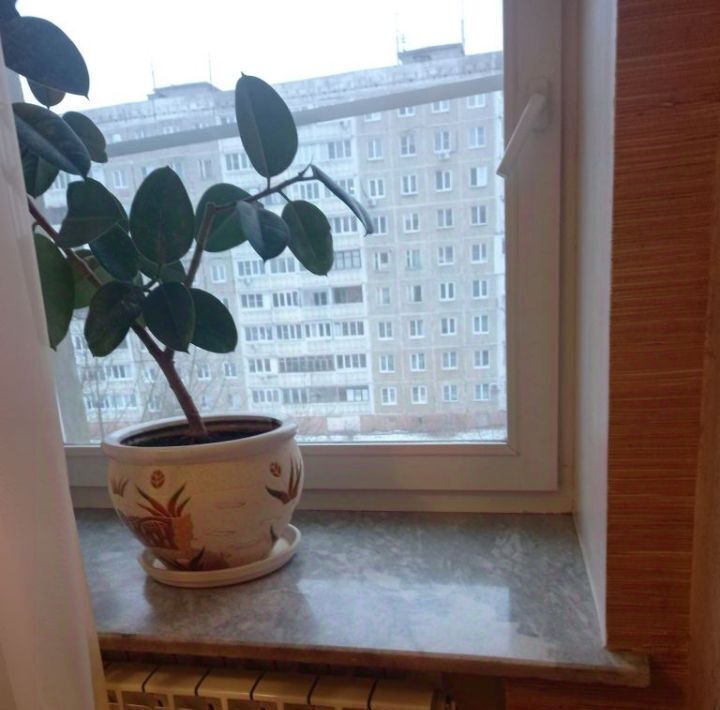 квартира г Нижний Новгород р-н Канавинский Бурнаковская ул. Лесной городок, 3А фото 4
