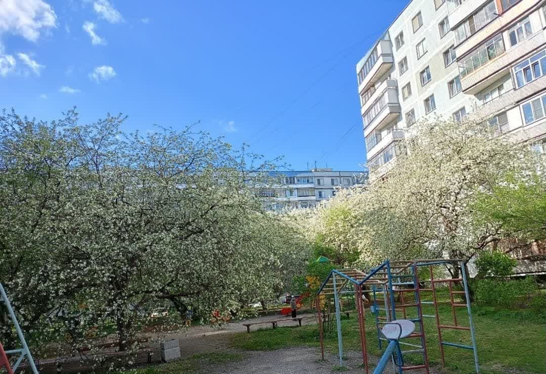 квартира г Новосибирск р-н Советский Академгородок ул Иванова 32а фото 4