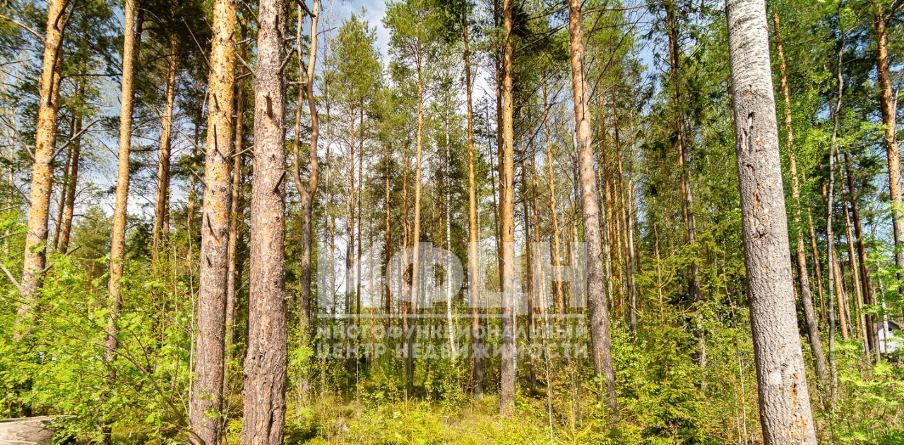 земля г Петрозаводск р-н мкр Средний Тереж фото 3