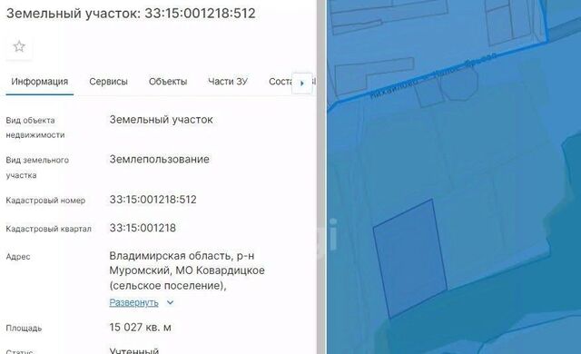 ул Центральная Муром фото