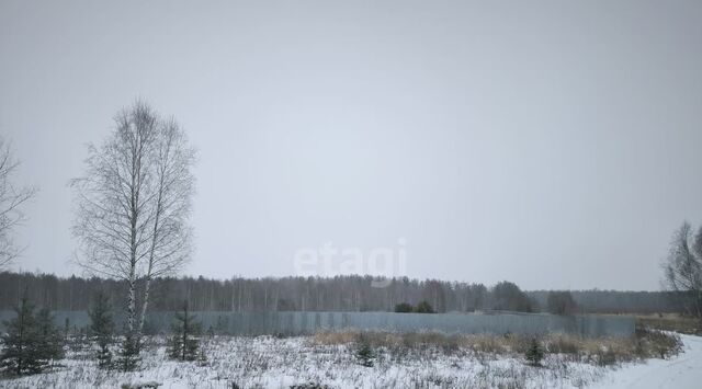ул Центральная Муром фото