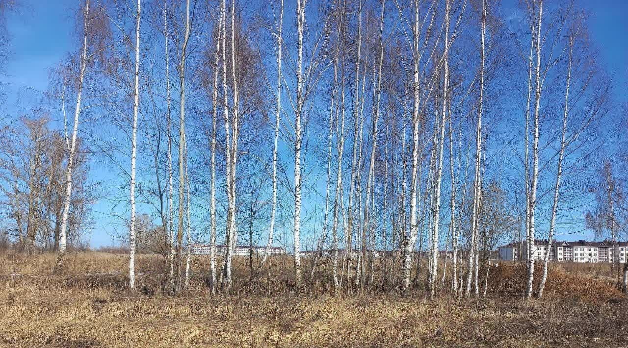 земля г Муром ул Зарубина фото 4