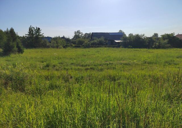 25 км, д. Дарьино, Ярославское шоссе фото