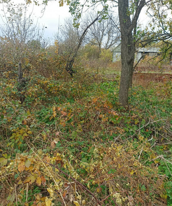 земля р-н Ейский г Ейск снт Южное Ейское городское поселение фото 2