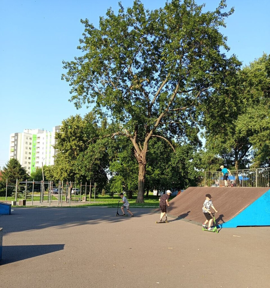 квартира г Курск р-н Железнодорожный ул Театральная 18 Ямская слобода м-н фото 7
