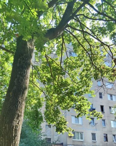 р-н Московский ул Сельских Строителей 5к/1 фото