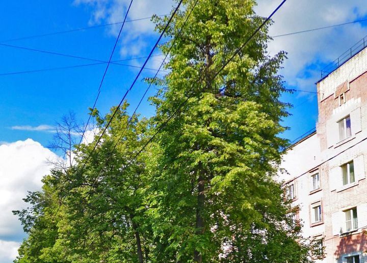 квартира г Йошкар-Ола ул Первомайская 79 фото 3