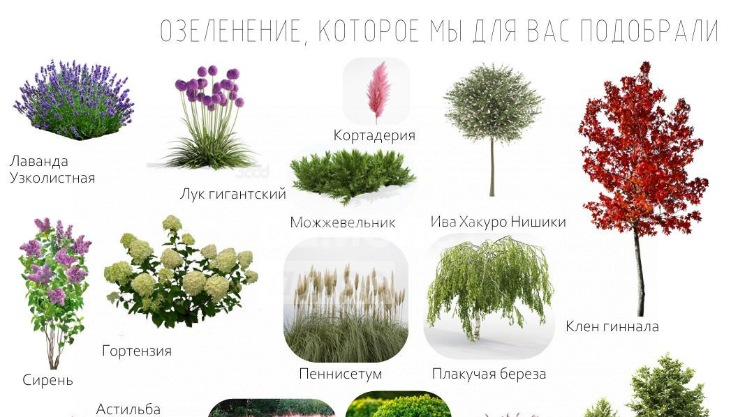квартира г Липецк р-н Советский Университетский ул Замятина Е.И. 1 фото 12