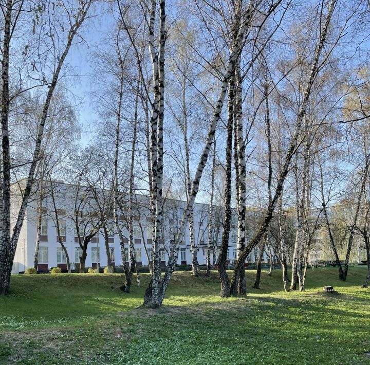 квартира г Москва метро Новоясеневская б-р Литовский 15к/5 муниципальный округ Ясенево фото 17