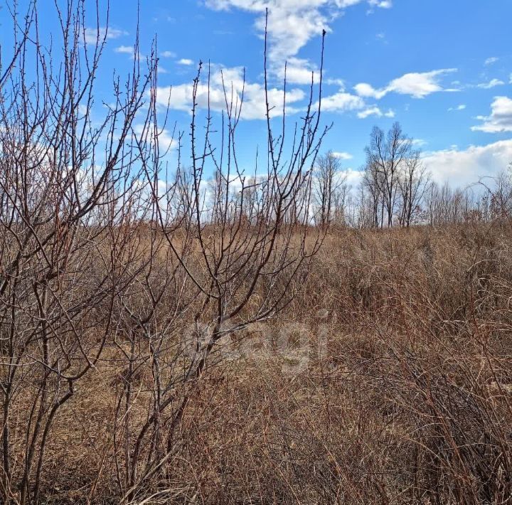 земля г Благовещенск фото 3