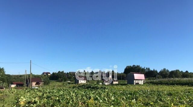 муниципальное образование, Пажга фото