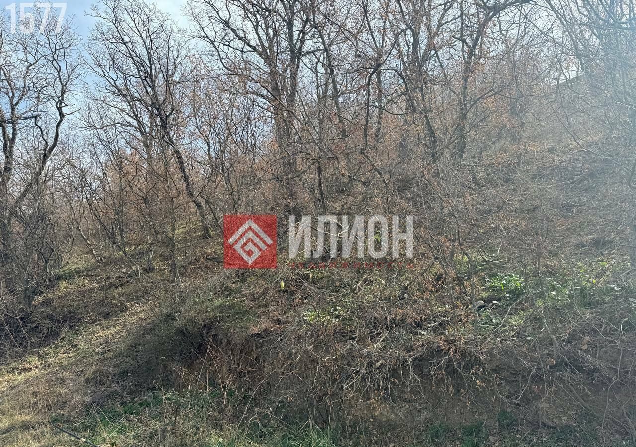 земля г Алушта с Рыбачье ул Центральная Морская фото 4