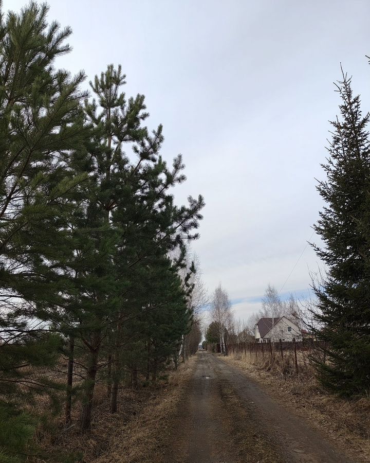 земля г Раменское снт Центр 52 км, 159, Раменский муниципальный округ, Мещерино, Новорязанское шоссе фото 9