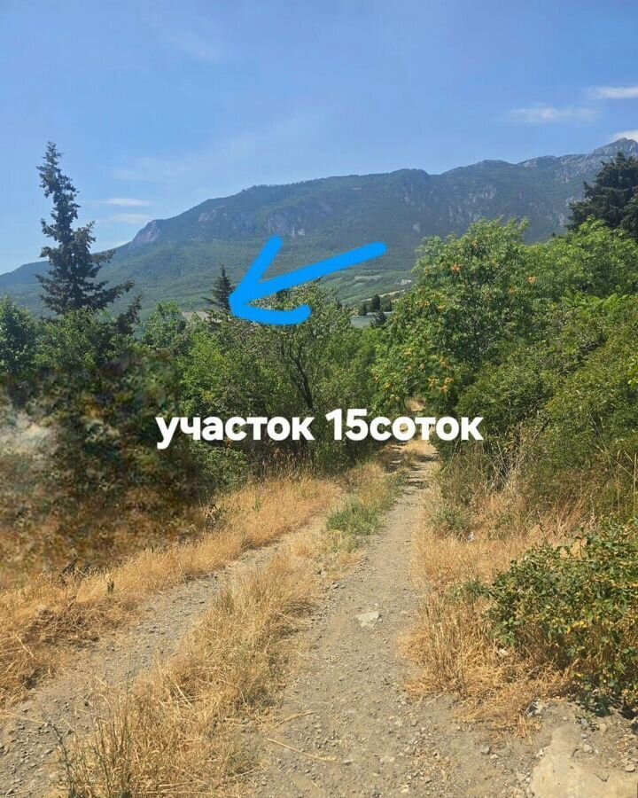 земля г Ялта пгт Гурзуф ул Ялтинская 22 фото 15