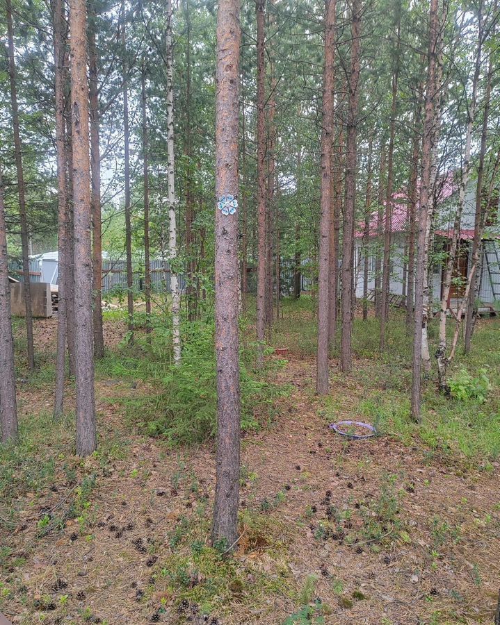дом г Губкинский зона Садово-огороднический массив 8-я линия, 801, Тюменская обл. фото 5
