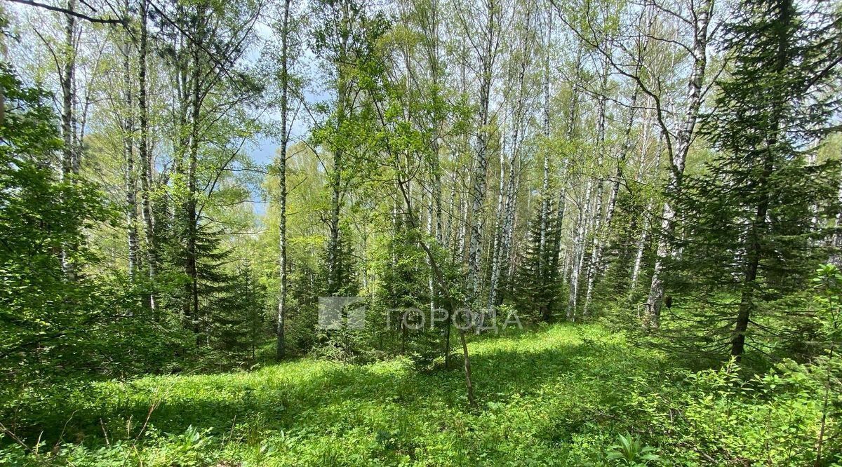 земля г Белокуриха ул Бреславского фото 1