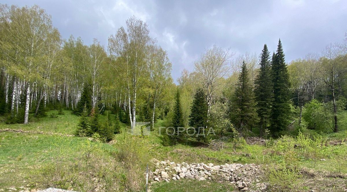земля г Белокуриха ул Бреславского фото 9