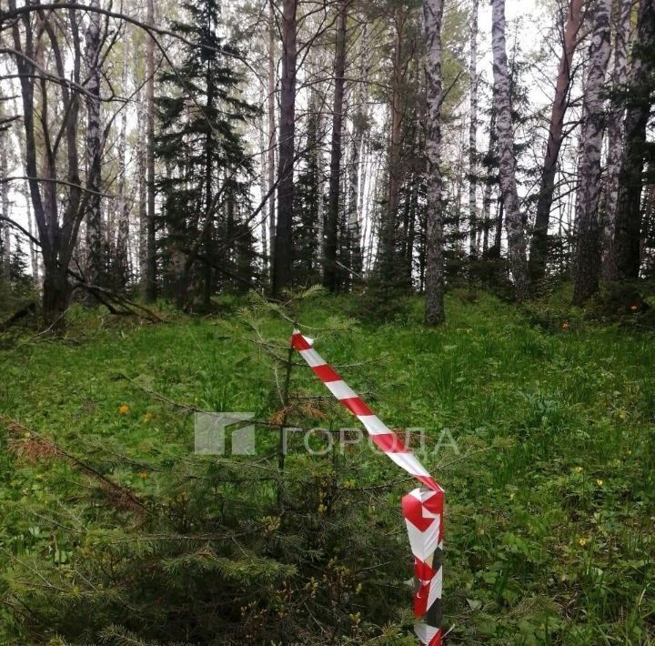 земля г Белокуриха ул Бреславского фото 21