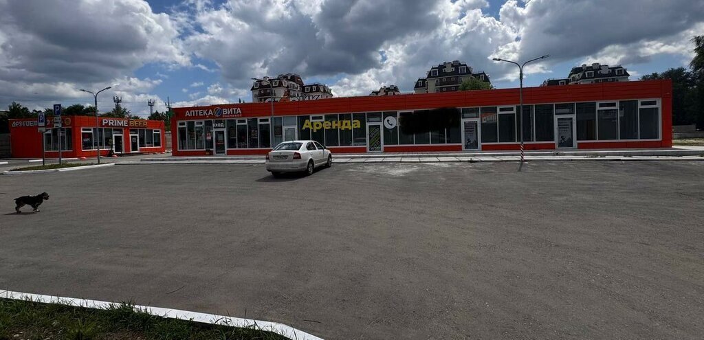 свободного назначения г Тольятти р-н Центральный ул Баныкина 11 фото 7