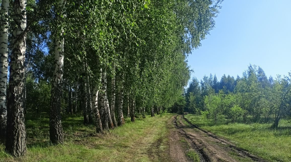 земля г Кинель фото 3