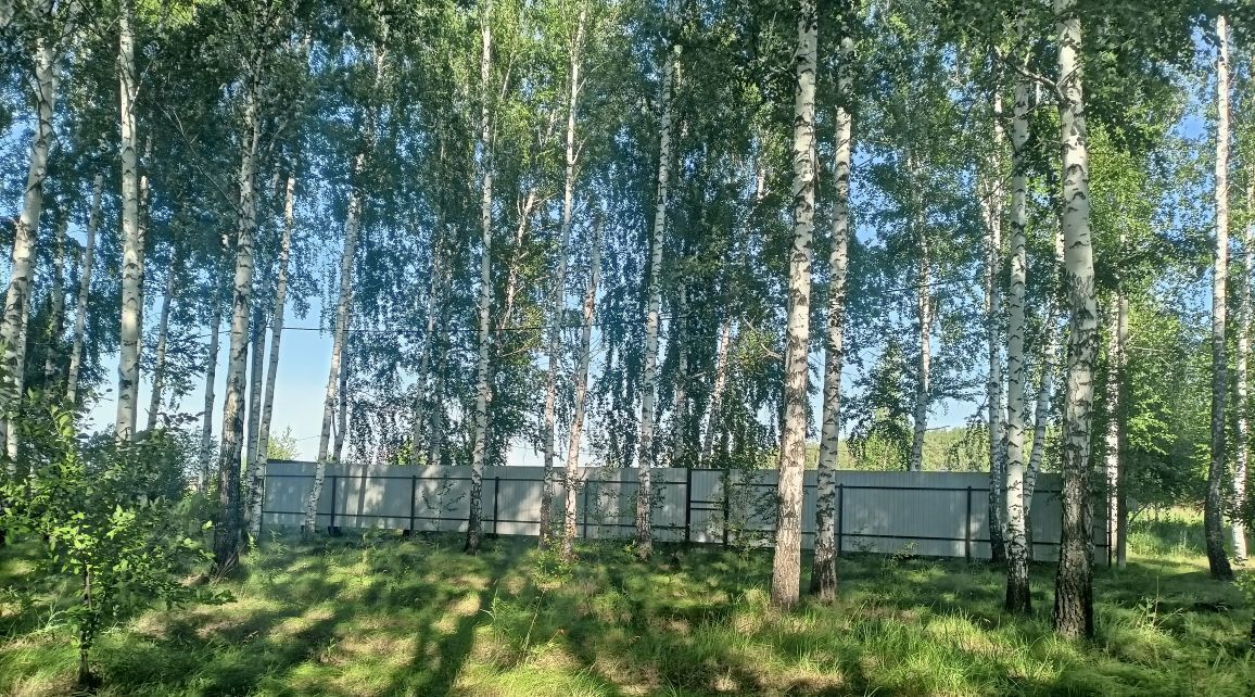 земля г Кинель фото 5
