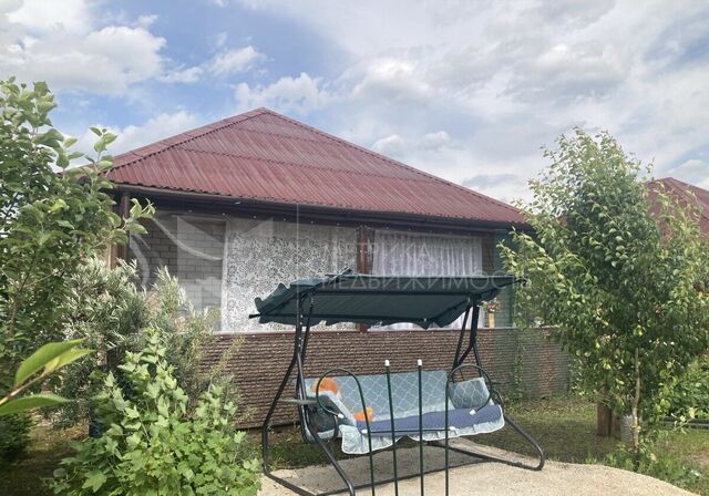 днп терЗвенящие кедры Тюмени фото