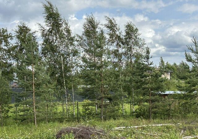 Гостилицкое шоссе, 2 км, Пениковское сельское поселение, коттеджный пос. Гринфилд энд Форест, Ломоносовский пр-т, 2, Санкт-Петербург, Ломоносов фото