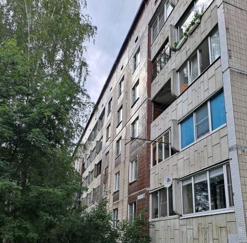 ул Плоткина 3к/1 Ладожская фото
