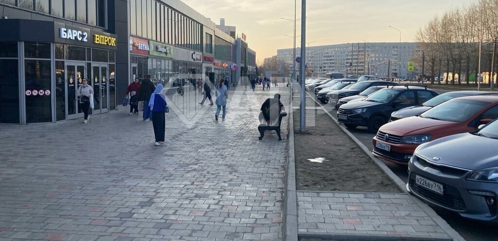торговое помещение р-н Нижнекамский г Нижнекамск ул Менделеева 33а городское поселение Нижнекамск фото 4