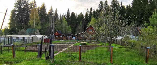 р-н Ленинский муниципальное образование Киров, СДТ Автотранспортник фото