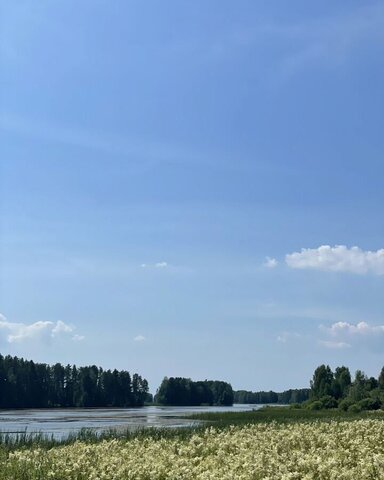 Ивановская область, Пучеж фото