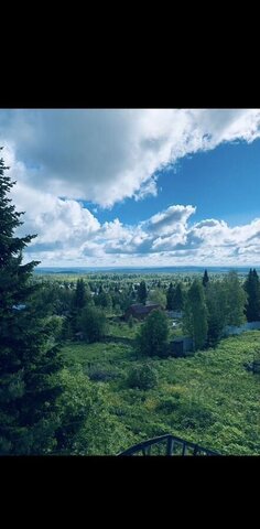 снт Мелиоратор 13, Дивногорск, г. о. Красноярск фото