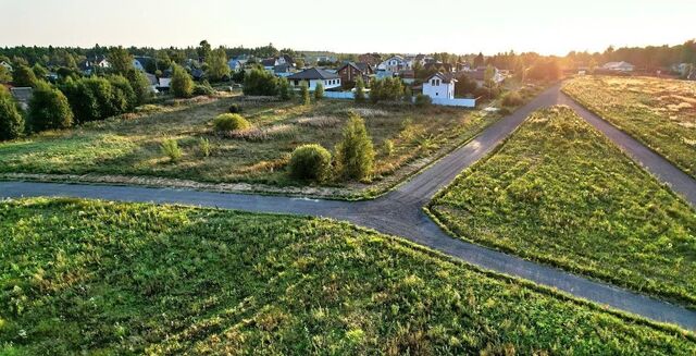 51 км, Новосиньково, Рогачёвское шоссе фото