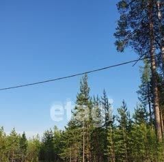 Сургутского муниципального района тер., Сурмятино СНТ фото