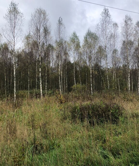 земля г Коломна снт Новое городской округ Клин фото 13