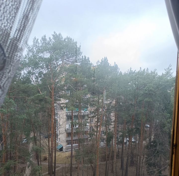 квартира г Протвино ул Дружбы 16 Серпухов городской округ фото 8