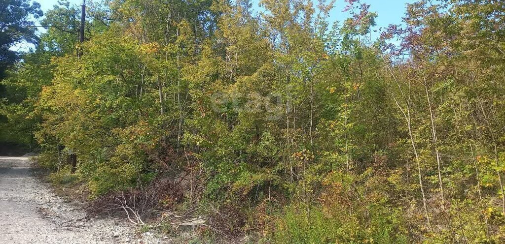 дом г Новороссийск с Мысхако снт Наука ул Горная фото 13
