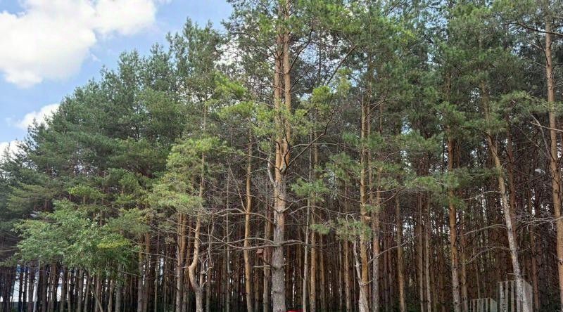 квартира г Казань р-н Советский ул Вербная 1а ЖК «Вербный» Проспект Победы фото 25