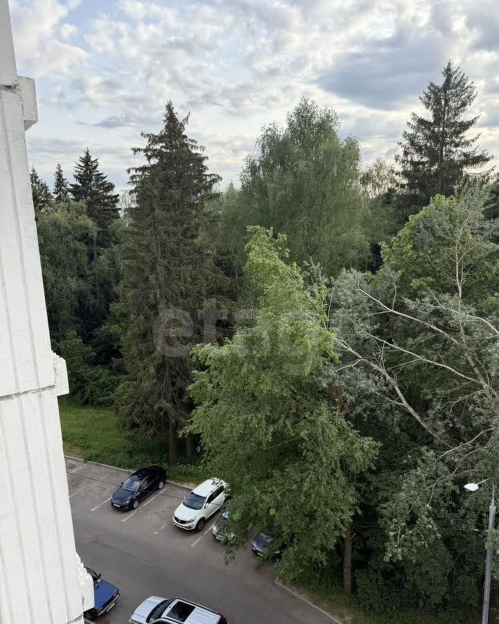 квартира г Зеленоград Зеленоград-Крюково, к 1102 фото 19
