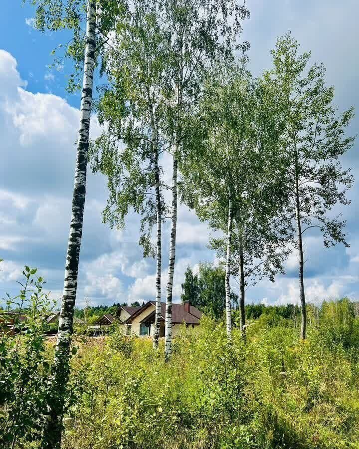 земля г Химки 17 км, мкр-н Ксенон, ТСН Кутузовское-1, Красногорск, Пятницкое шоссе фото 4