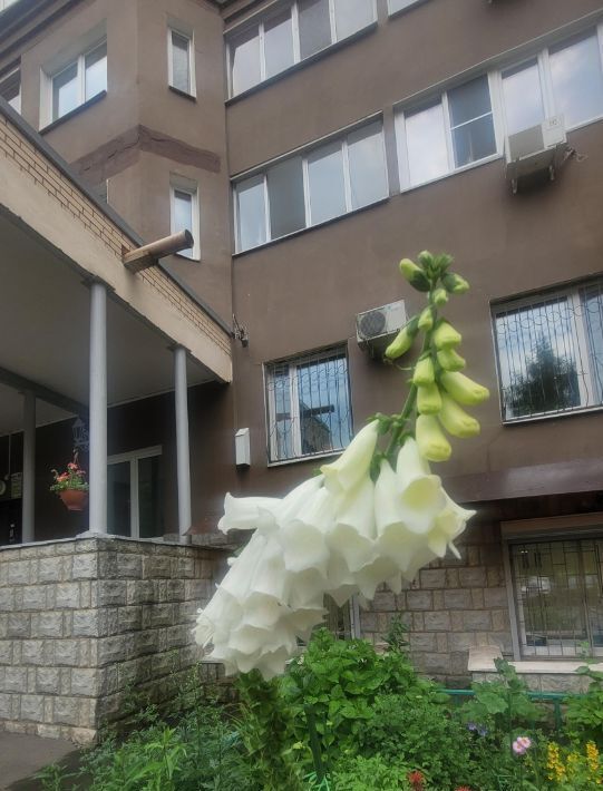 квартира г Одинцово ул Маршала Жукова 11а квартал «Единый Стандарт» Одинцово фото 4