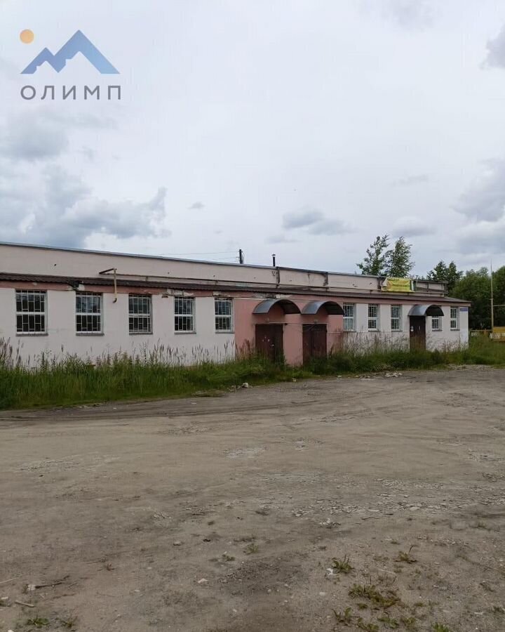 офис р-н Сокольский г Сокол ул Беднякова 14 фото 2