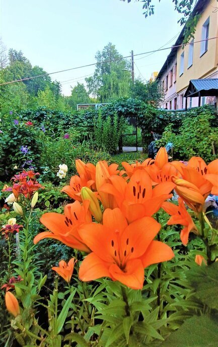 квартира г Нижний Новгород р-н Приокский Пролетарская ул Радистов 7а фото 14